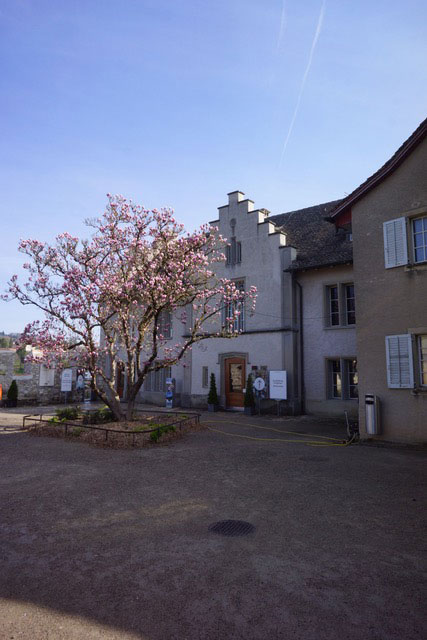 schloss_laufen_03